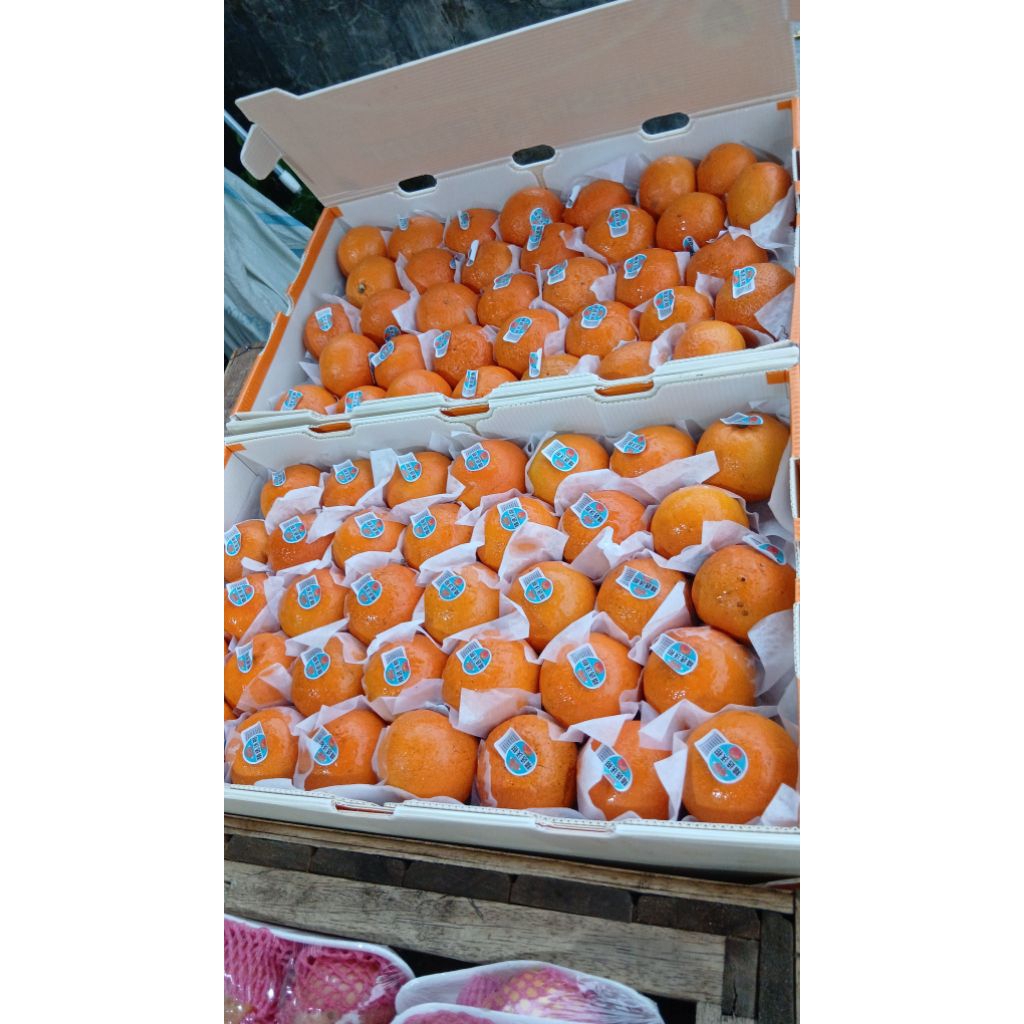 JERUK MANDARIN WOGAN/WOKAM