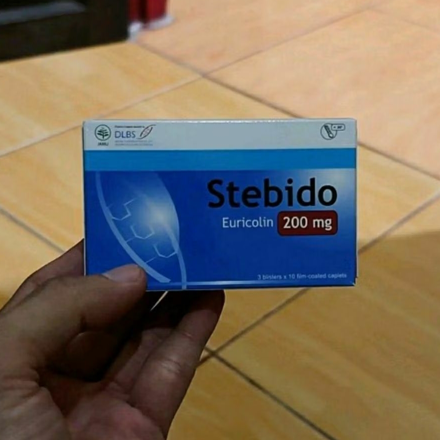 steebido - stebido
