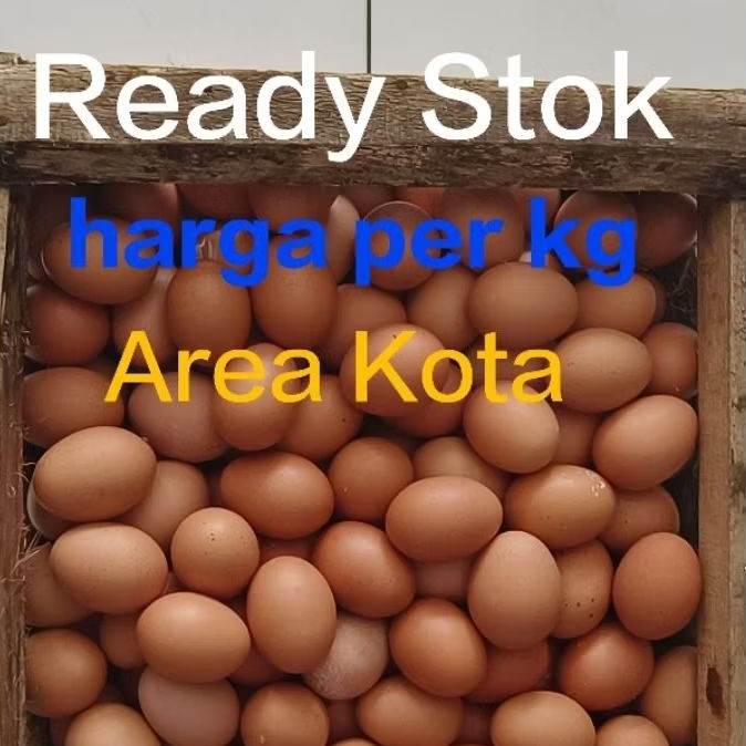 Telur Ayam Negeri Coklat 1 kg I 1,3 kg Fresh