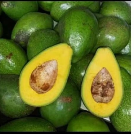 Alpukat 1kg
