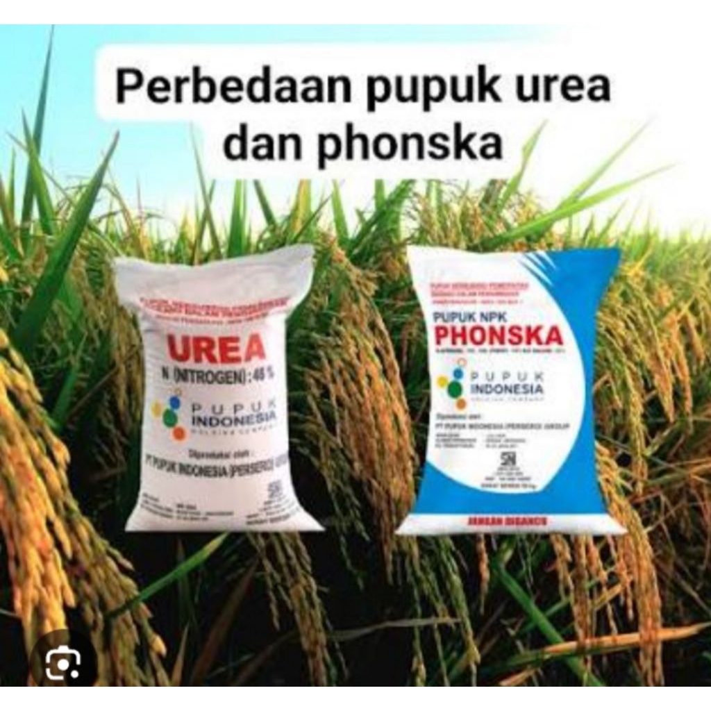 Pupuk NPK Phoska 15-15-15 1kg - Meningkatkan Kualitas Tanah dan Pertumbuhan Tanaman