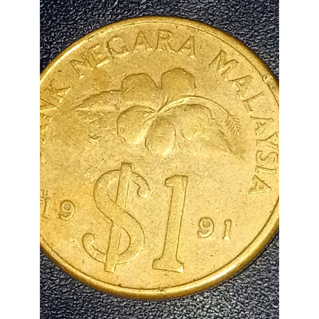 adalah koin 1 Ringgit Malaysia tahun 1991.