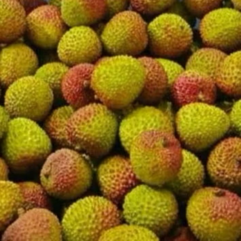 KARLOS LECI MADU MANIS SEGAR / LECI IMPORT