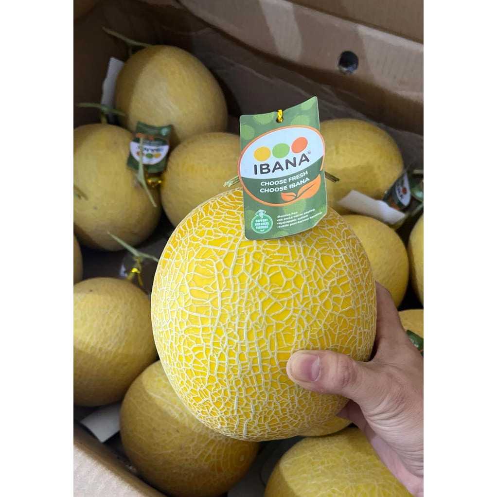 Melon Inthanon Premium