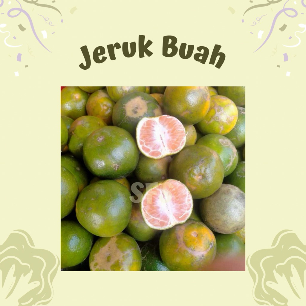 READY PAGI Buah Jeruk Segar - Sayur Fresh Solo