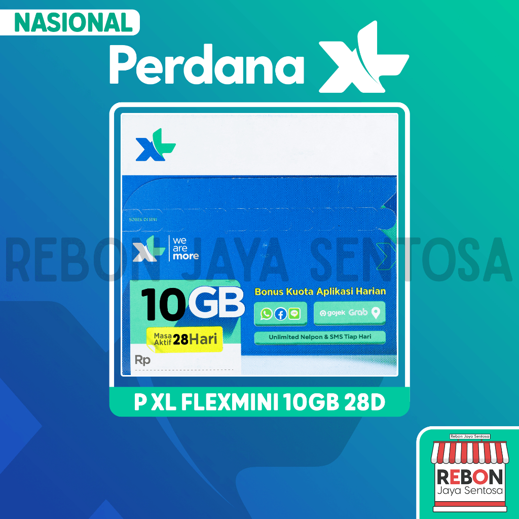 P XL FlexMini 10Gb 28D