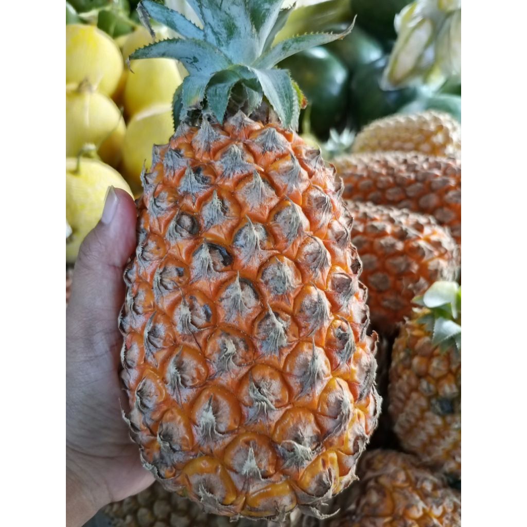Nanas madu jumbo