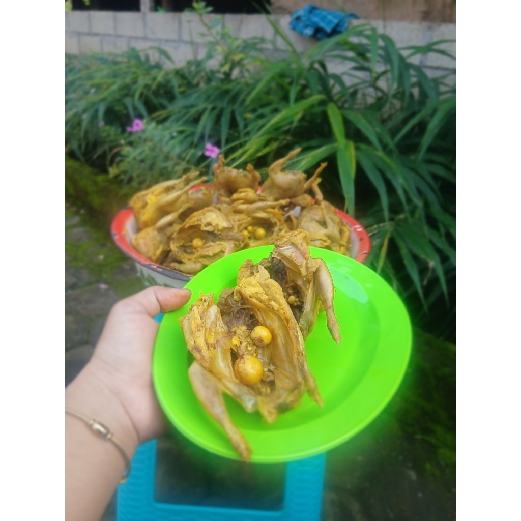 UngkepanPuyuh