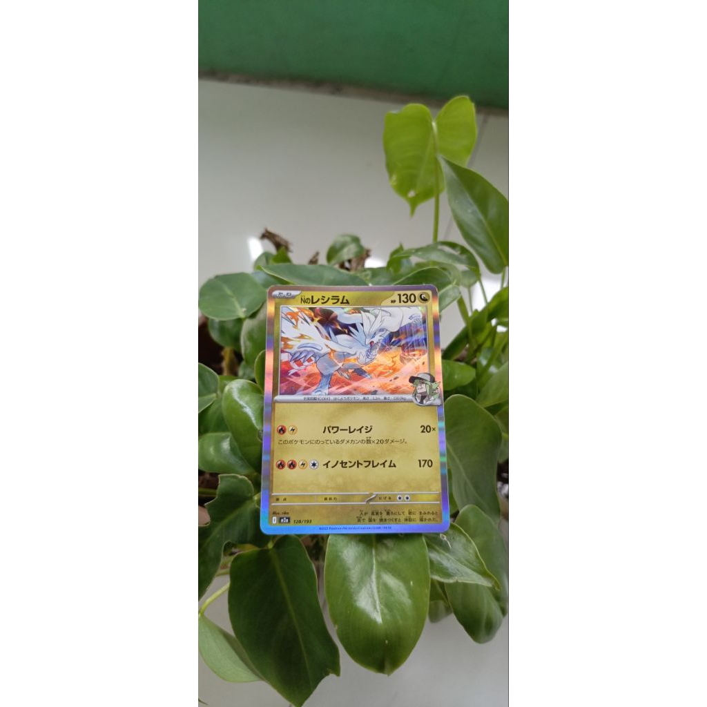 bulk pokemon ori TCG N's Reshiram (holo)