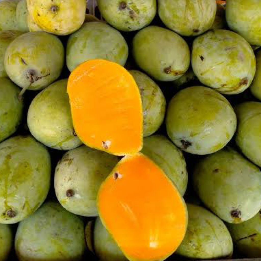paket 2 Kg mangga Indramayu matang