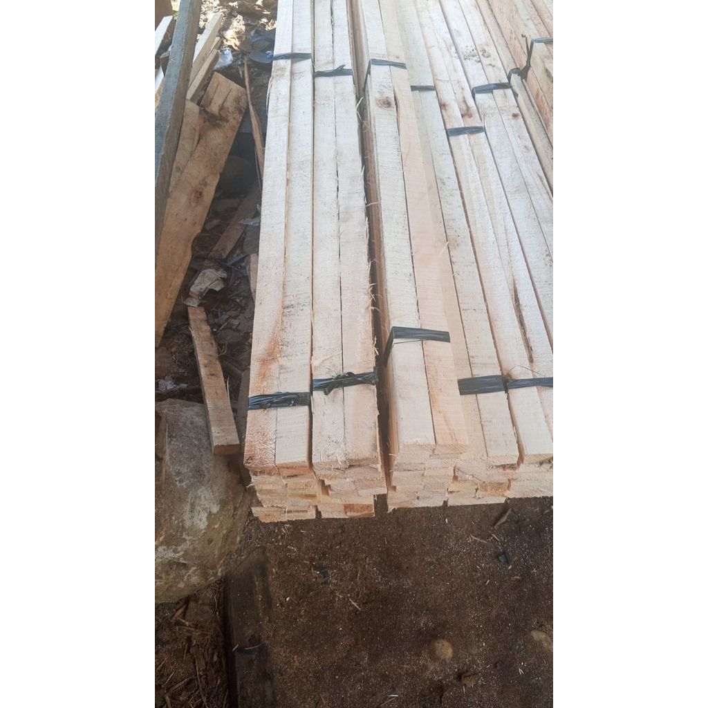 Kayu Kaso Jinjing Kayu kaso Albasia