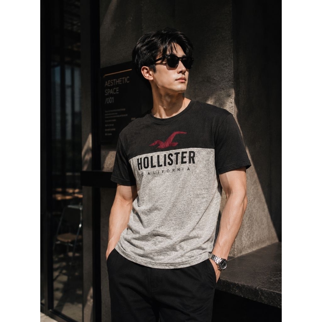 Kaos Hollister Pria