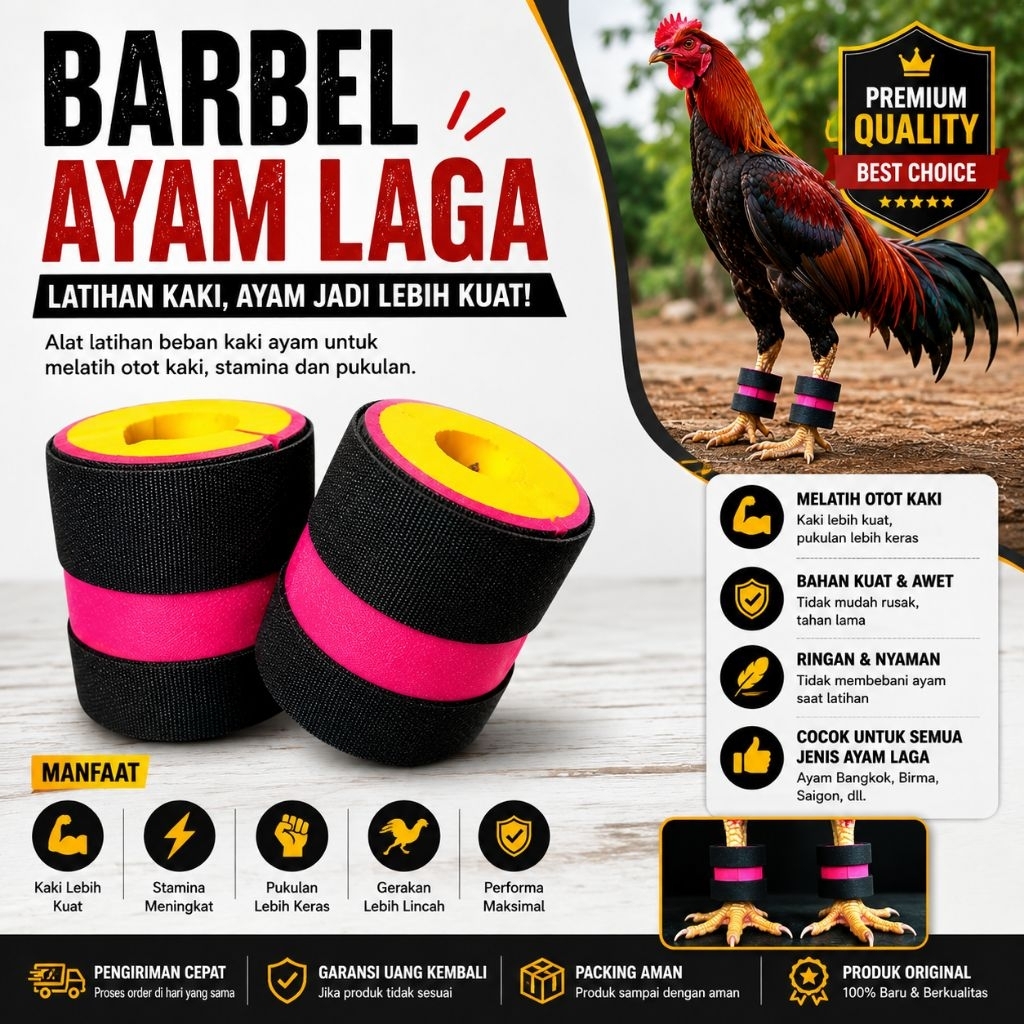 Barbel Ayam Laga Beban Kaki Ayam Aduan Latihan Otot Kaki Ayam Bangkok Super Kuat