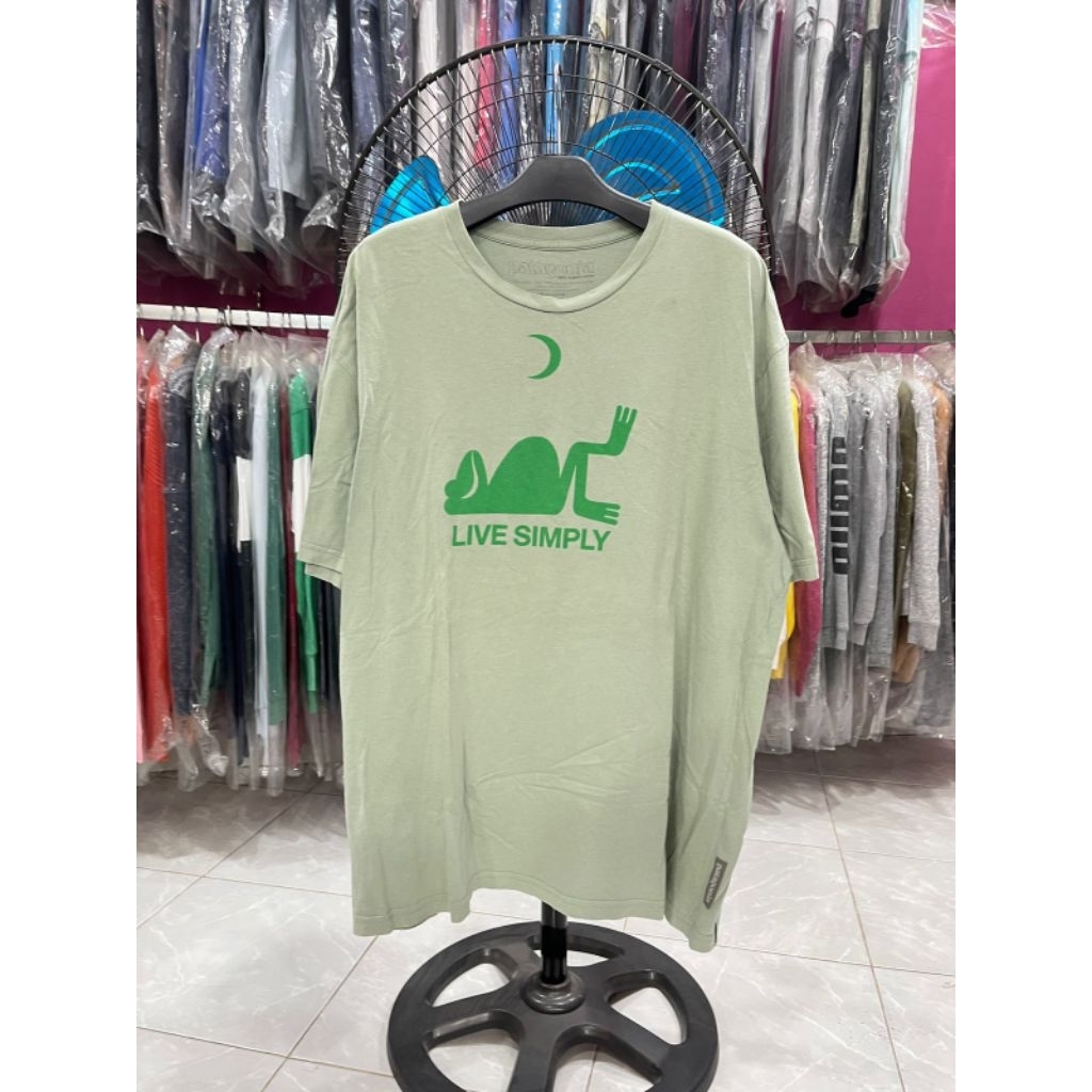t-shirt patagonia
