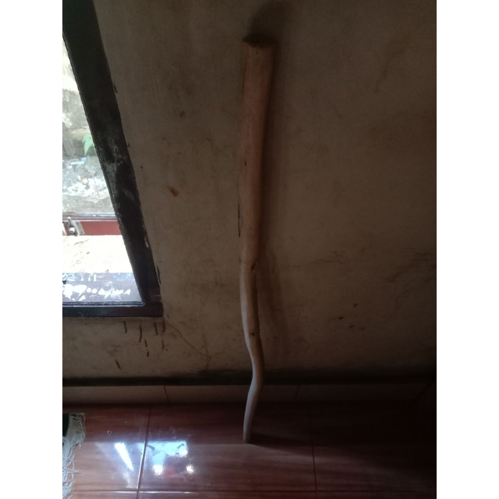 Kayu Bungkang