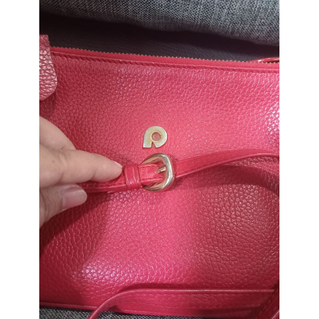 preloved papilon