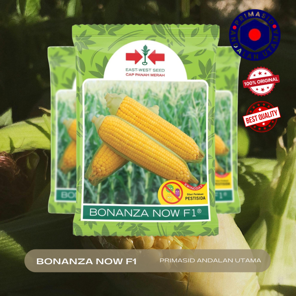 Benih Jagung Manis Bonanza NOW F1 Bibit Jagung Super Sweet