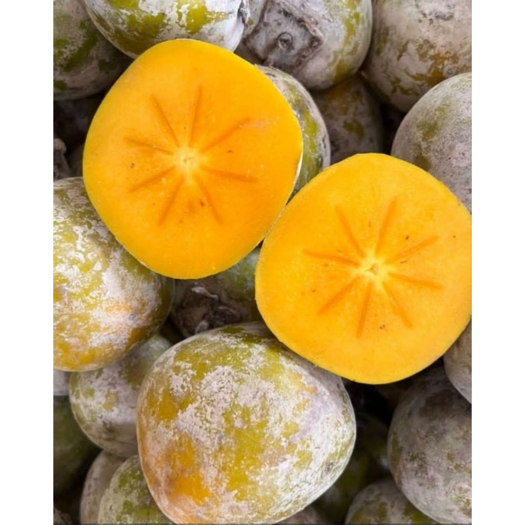 Buah Kesemek Buah Segar dan Enak 1kg