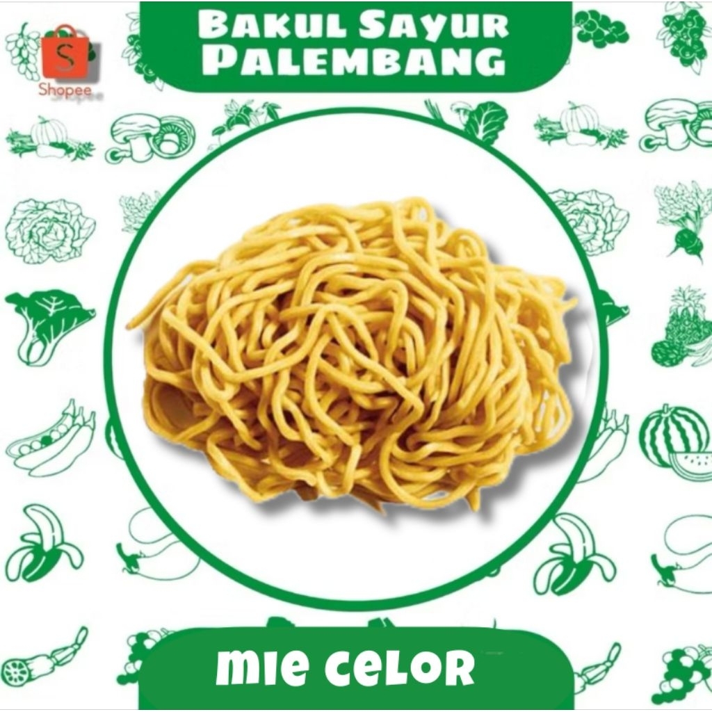 mie kuning basah besar/ mie celor (PALEMBANG)