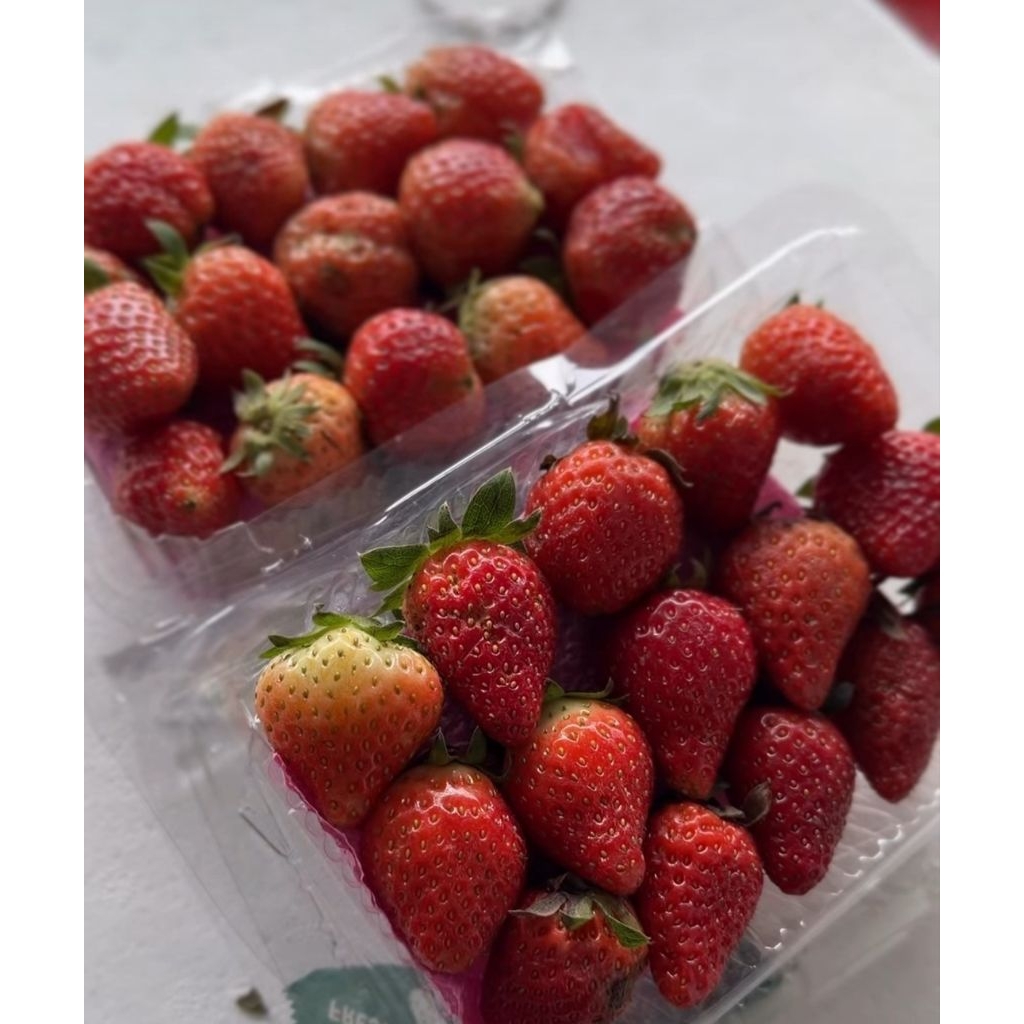 STRAWBERRY BANDUNG SEGAR MANIS