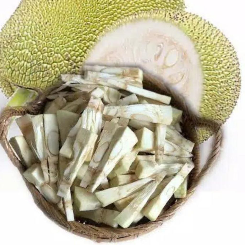 nangka muda nangka sayur untuk lodeh tumis gudeg
