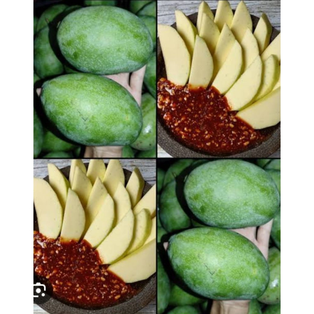 [KIRIM INSTAN] Mangga manalagi muda masam 1kg pas untuk rujakan