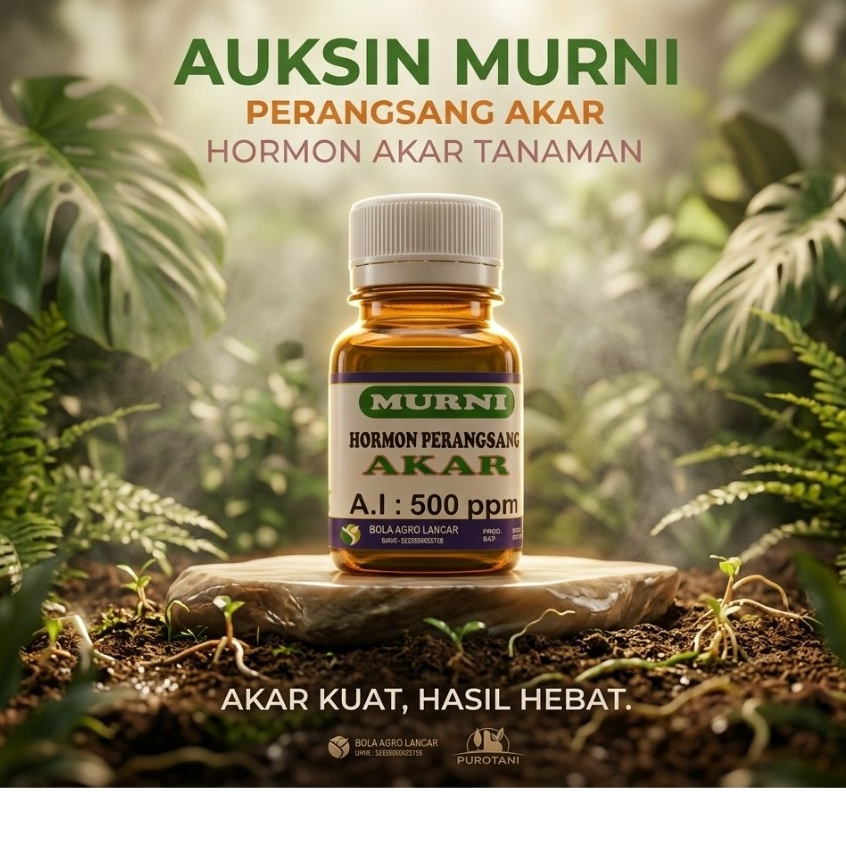 Hormon Perangsang Akar Auksin Murni ZPT Akar Auxin Murni