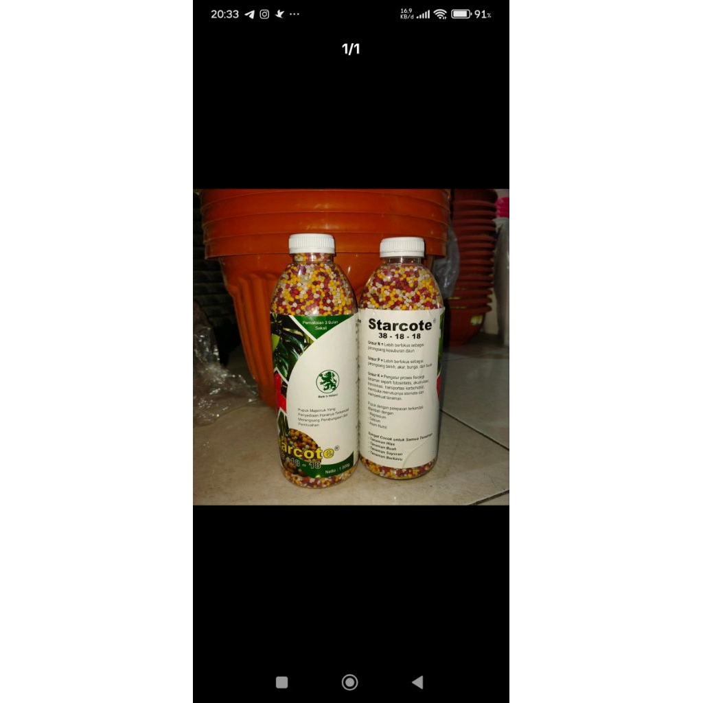 pupuk slow release starcote daun/pupuk daun slow release 1000gr