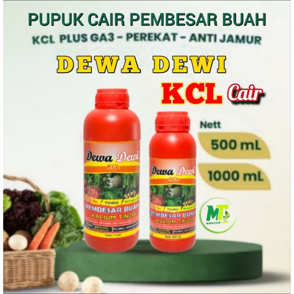Pupuk KCL cair Dewa Dewi Pupuk Kalium Pembesar Buah
