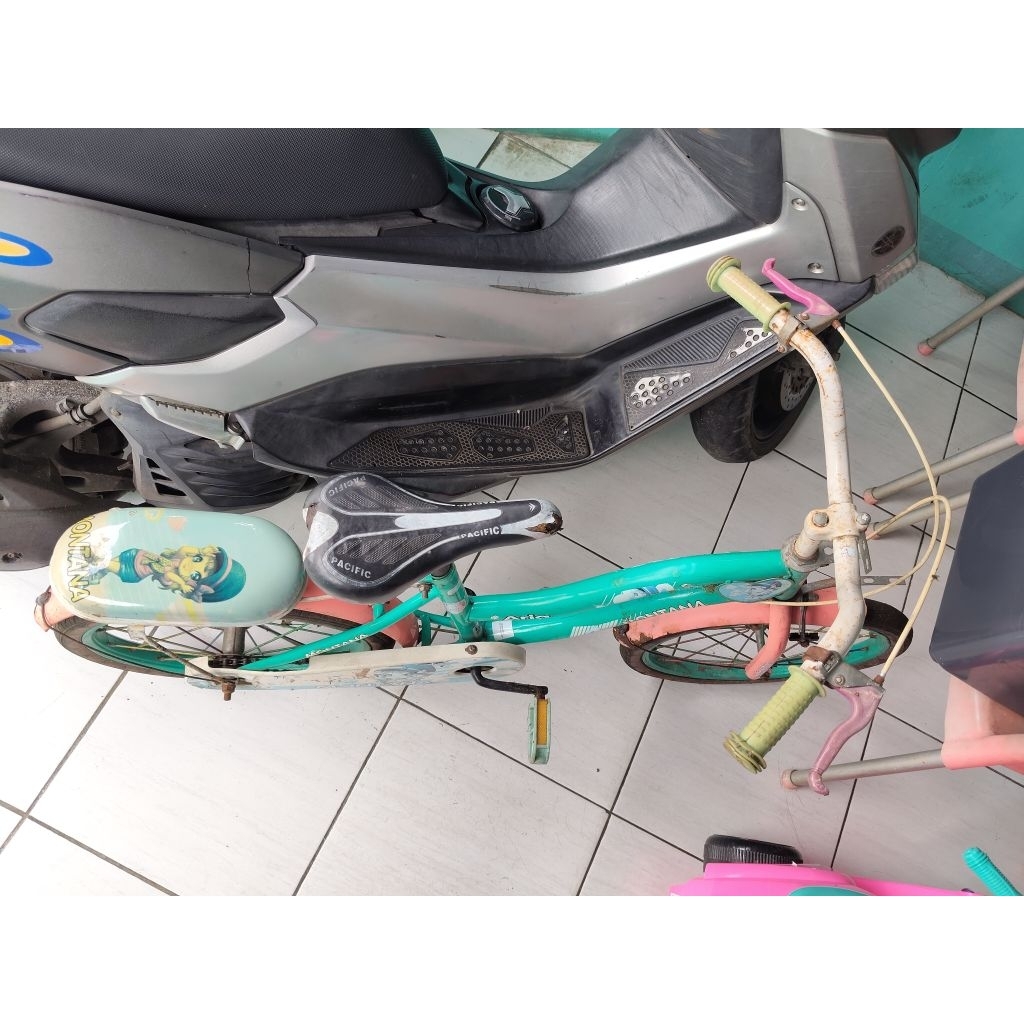 sepeda bekas anak perempuan