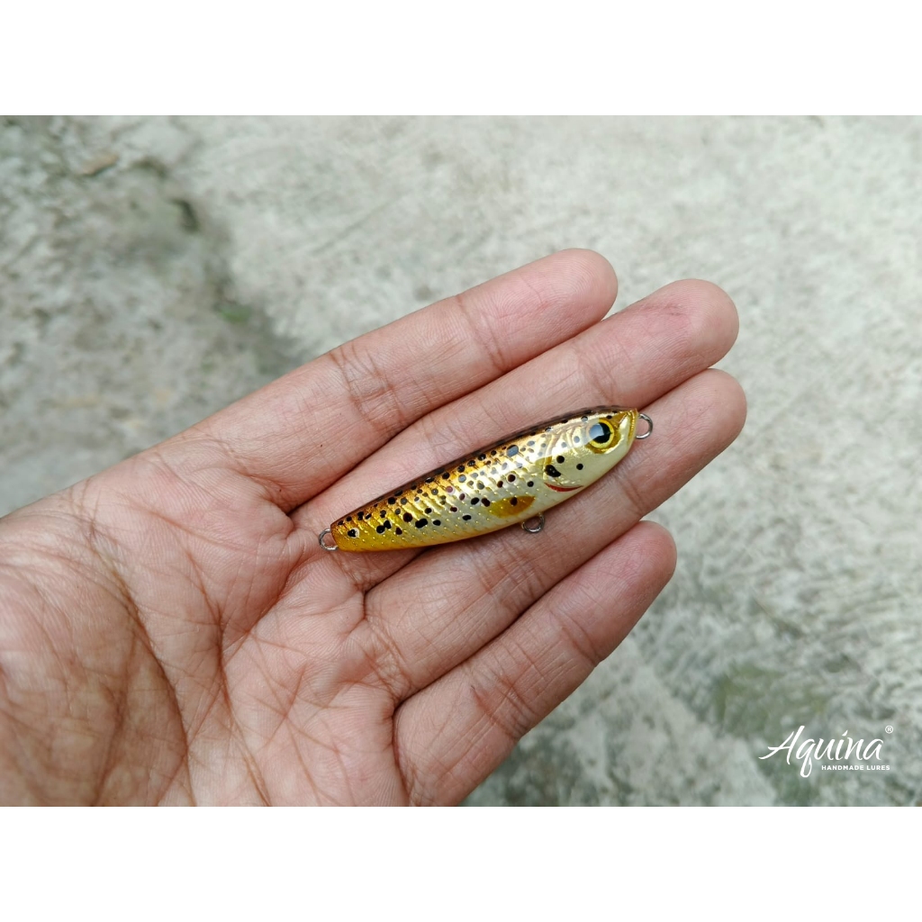 Aquina Lures Floating WTD 5cm Warna Brown Trout