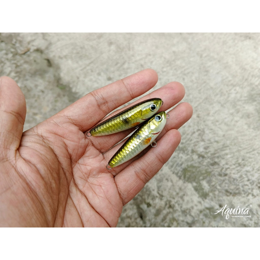 Aquina Lures Floating WTD 5cm  Warna Hampala