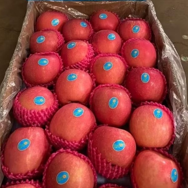 Apel Fuji Size 88 17kg/Dus