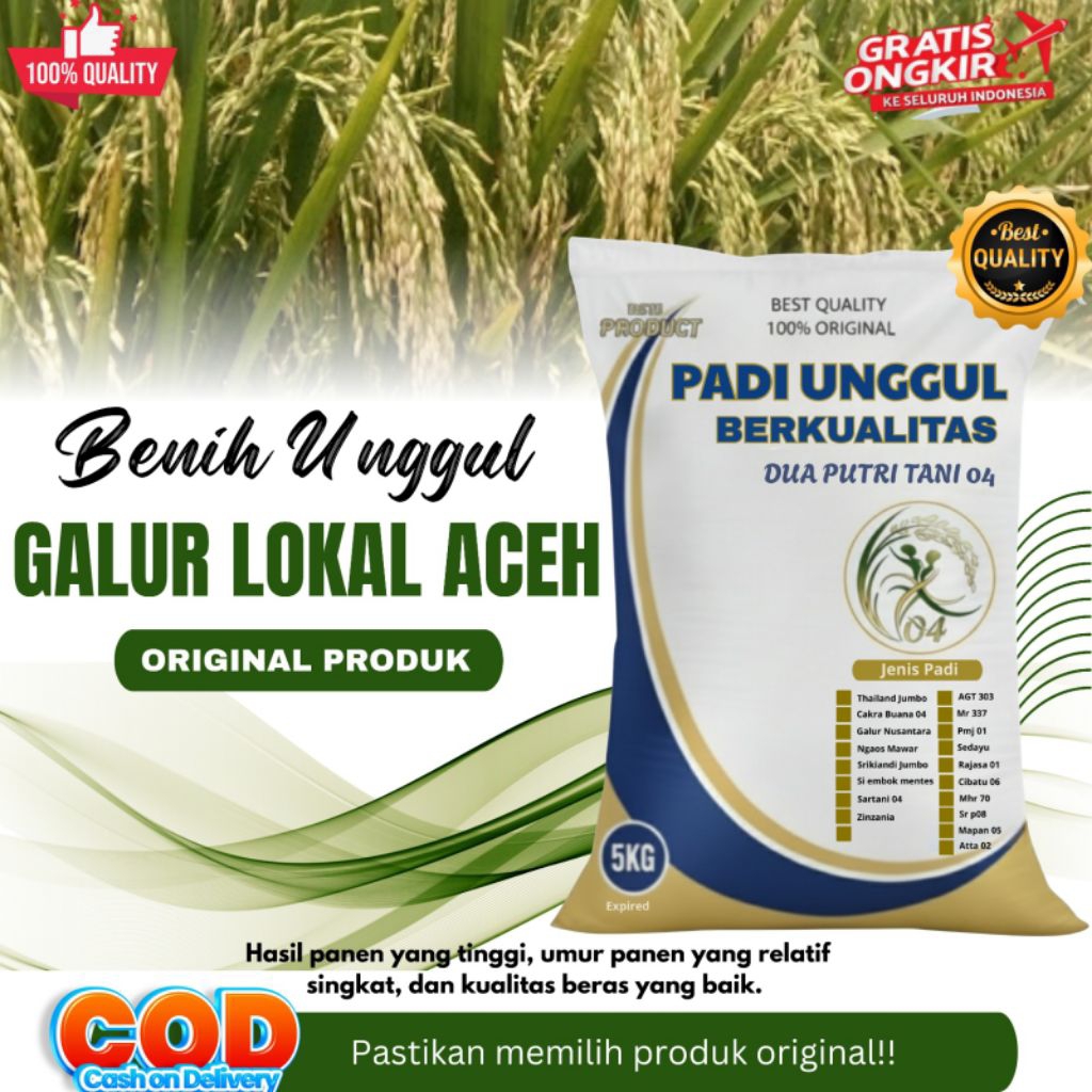 Bibit Padi Unggul GALUR LOKAL ACEH Kemasan 5kg