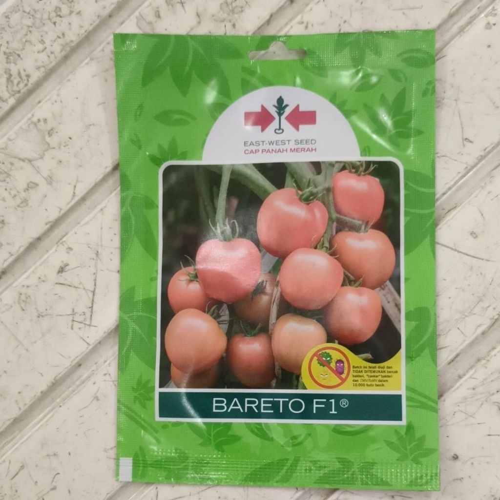 Benih Tomat Bareto F1 150 butir