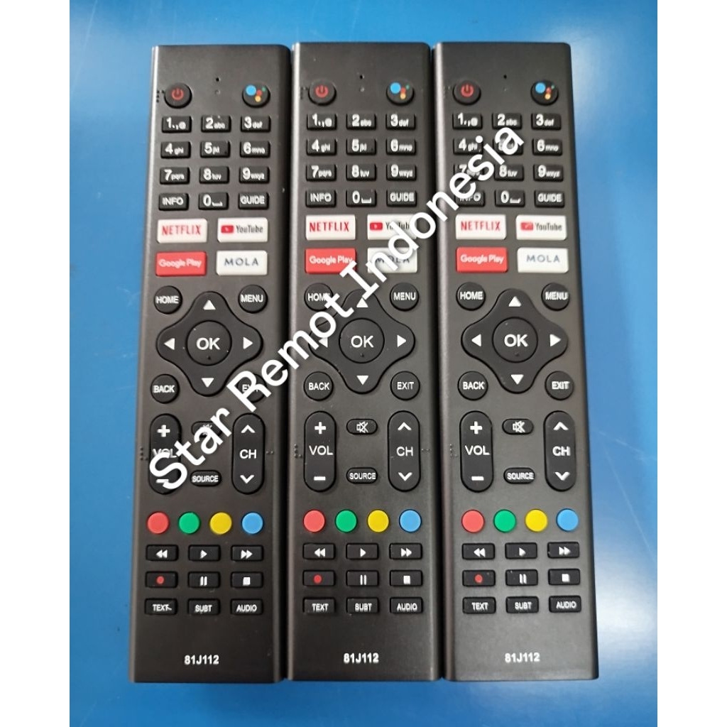 Remot for POLYTRON 81J112/81J194/81J273/81J960/81J172 ORIGINAL