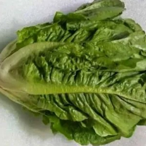 SELADA ROMEN 1kg