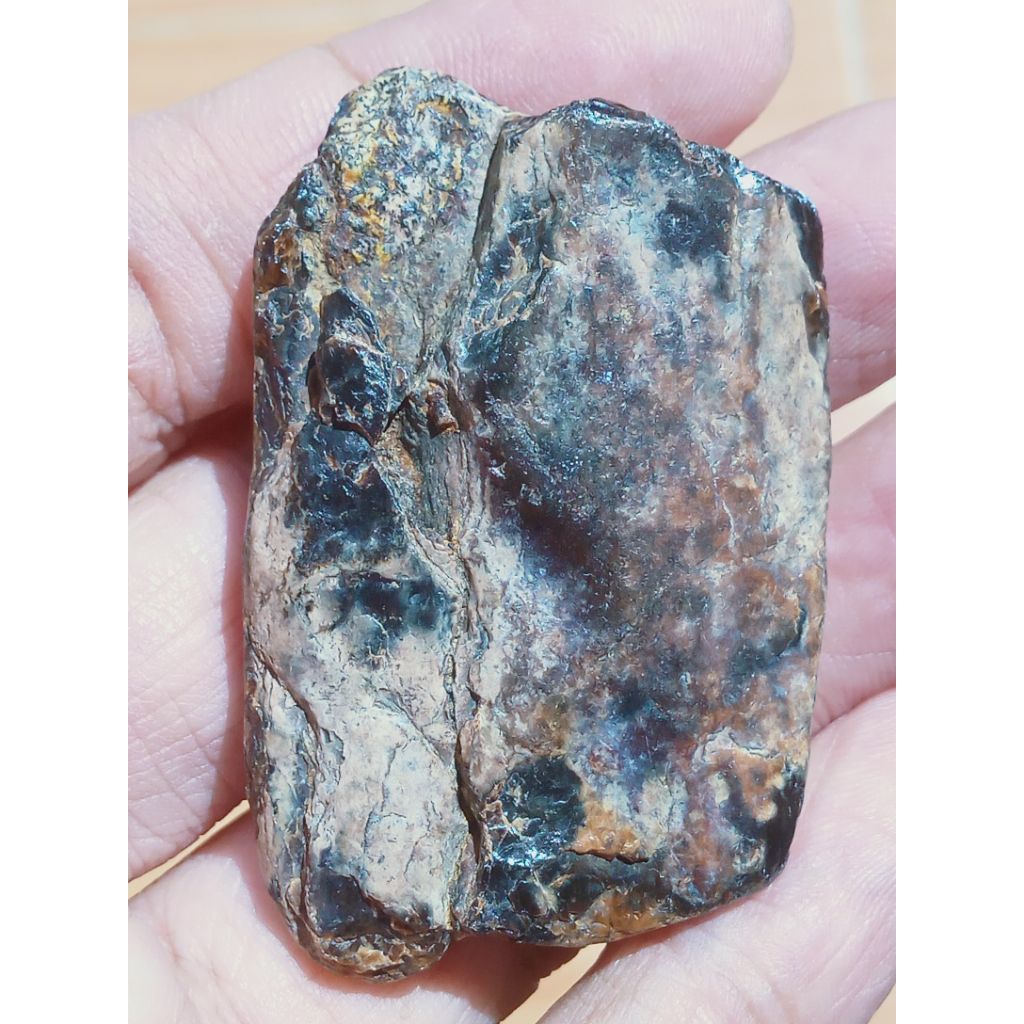 Batu Fosill Gading Gambar Semar