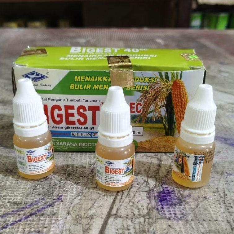 Bigest 10 Ml Zat Pengatur Tumbuh / Bigest 10 Ml ZPT Ori