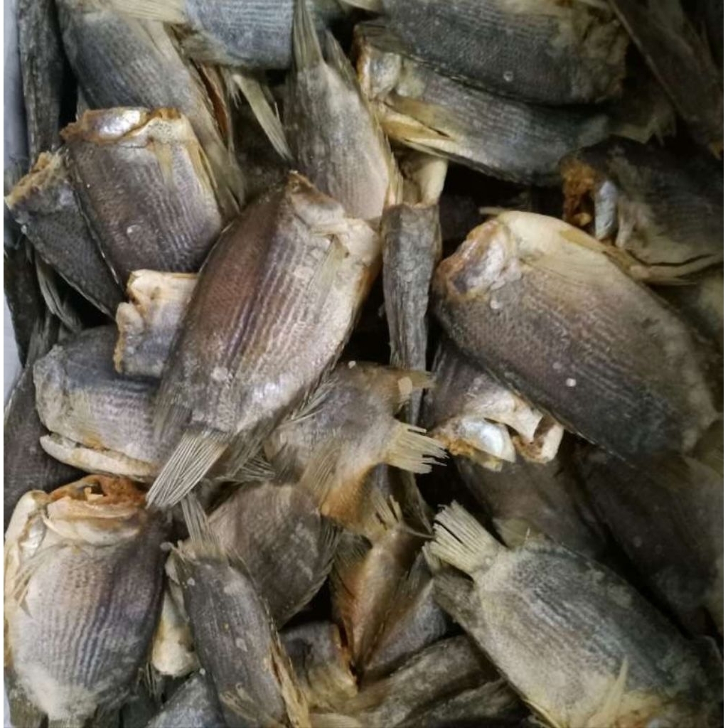 IKAN ASIN TEMBAKANG