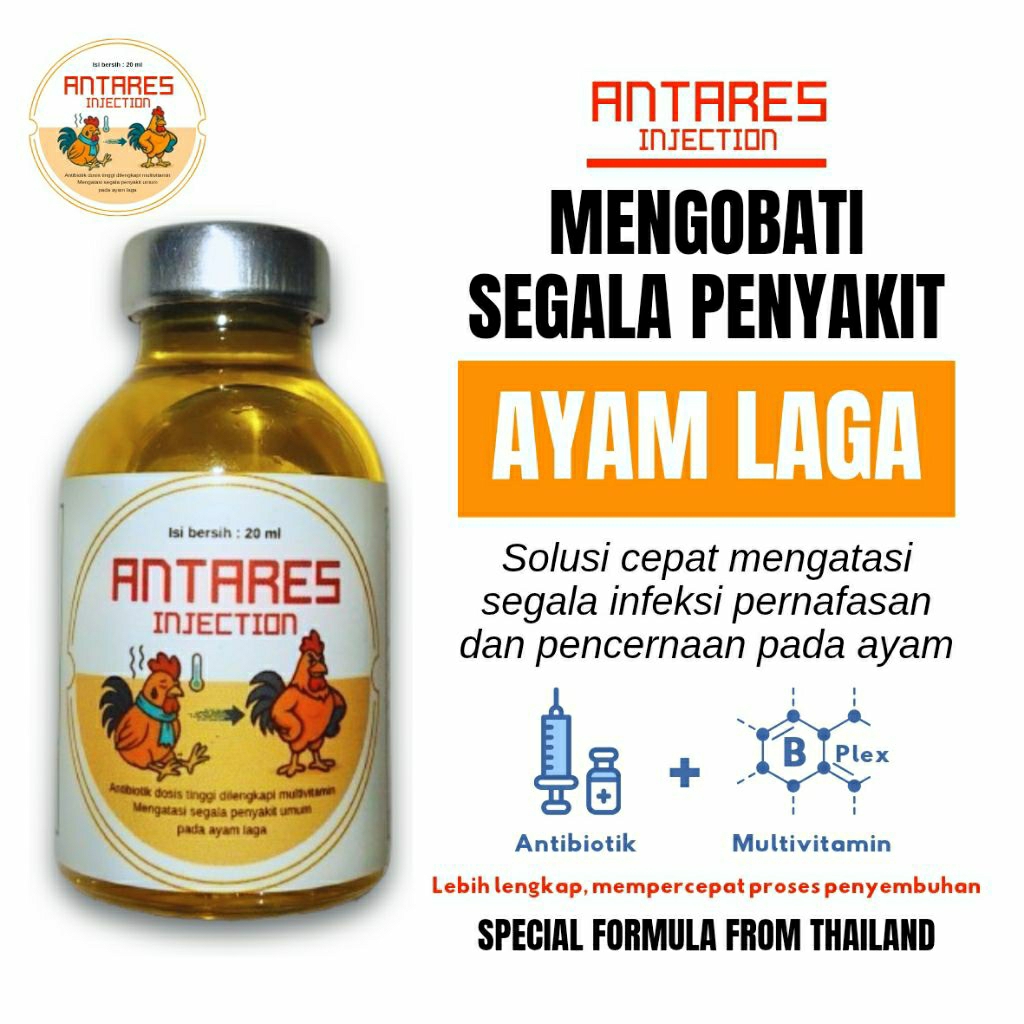 Obat ayam ampuh mengatasi segala penyakit pada ayam bangkok (ANTARES), obat ayam pilek/obat ayam sno