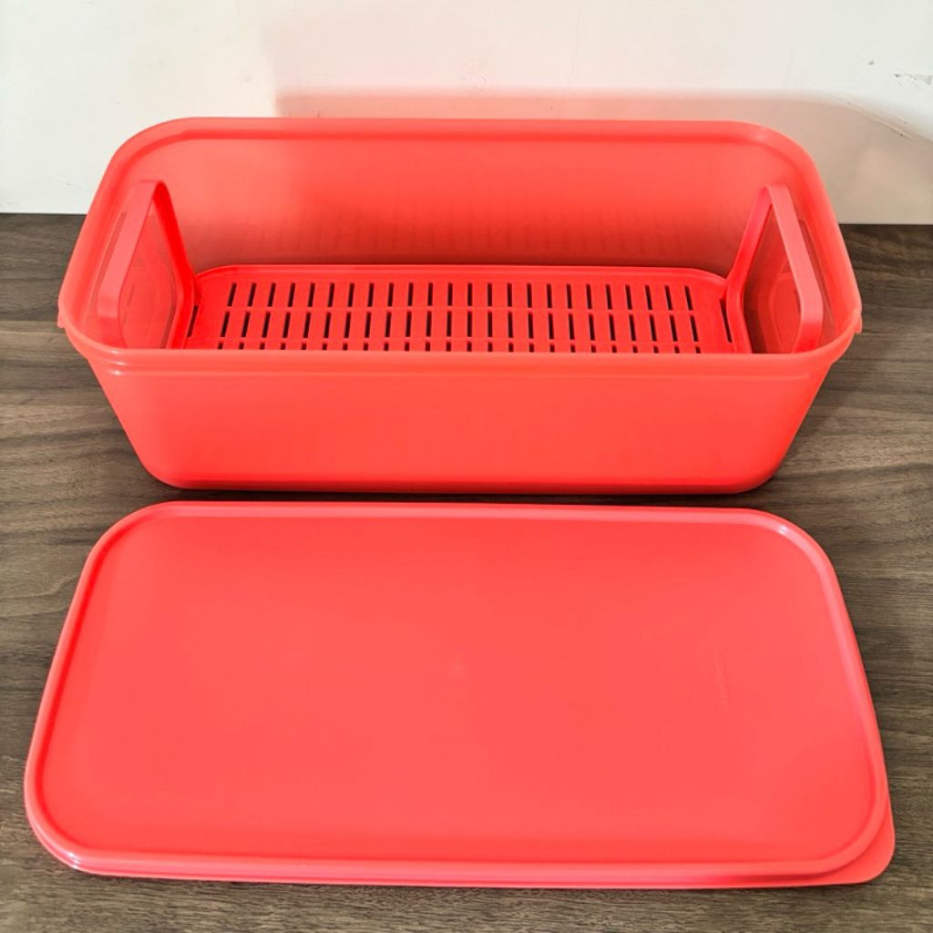 Tupperware Box 6 Liter Guava