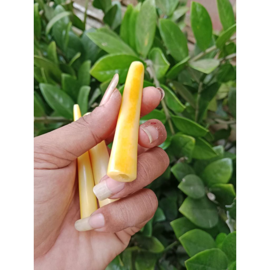 once pipa tulang mini lawasan gading treatment rempah rempah asli