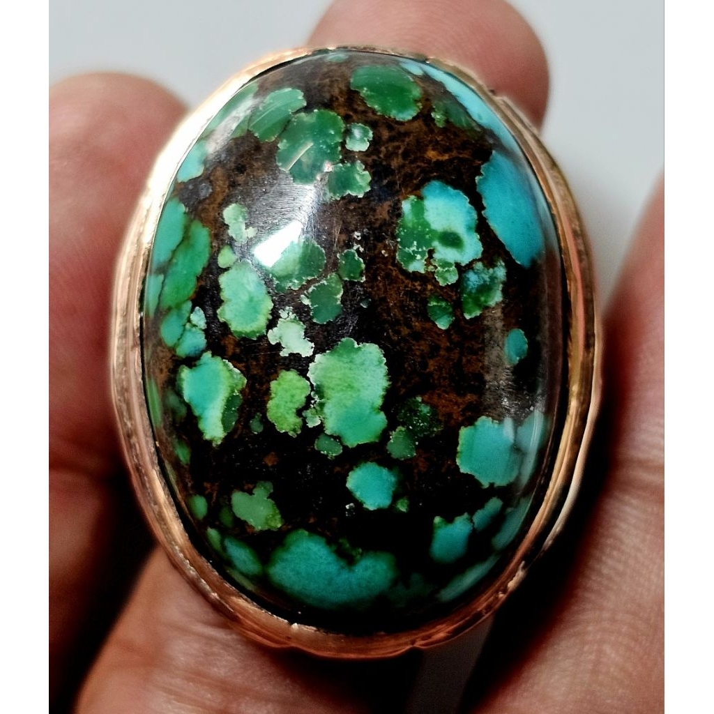 Pirus biru Persia multi Collor lawasan 0035