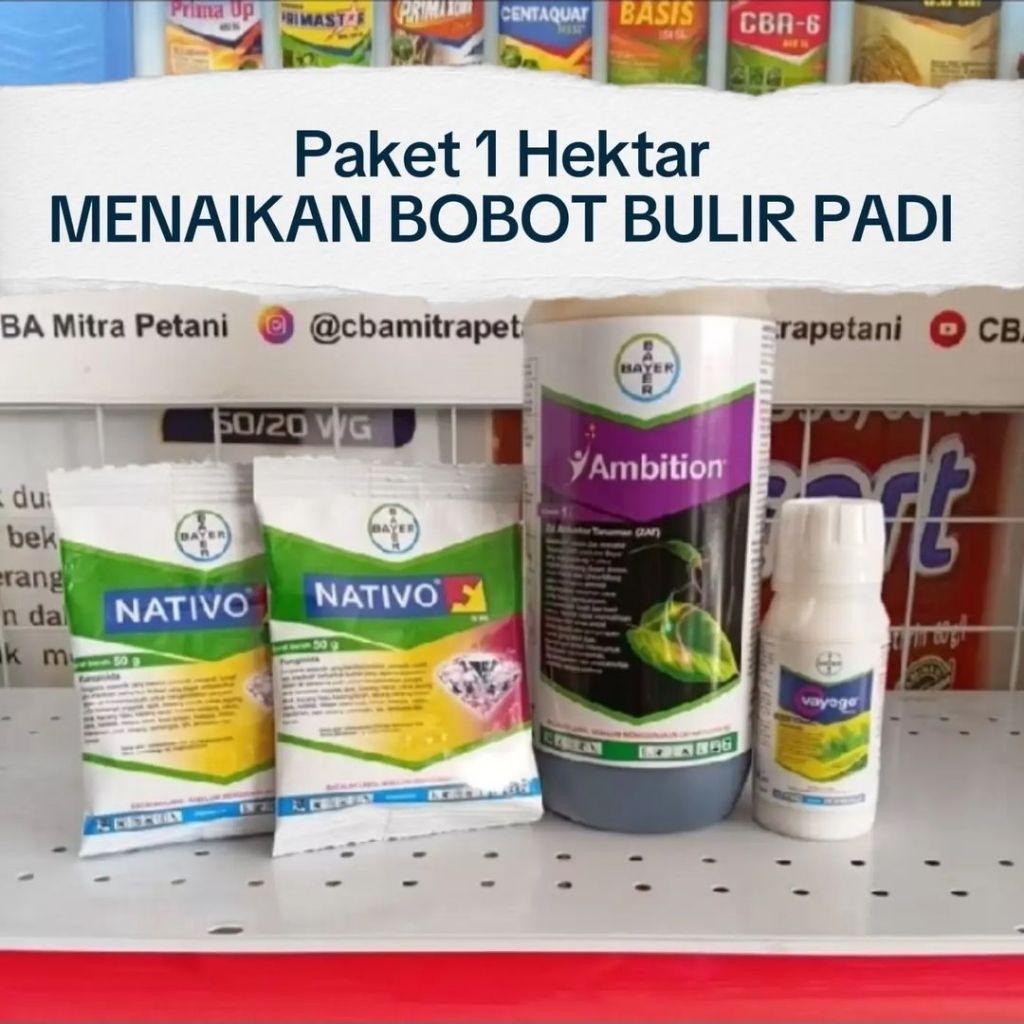 PAKET BOBOT BULIR PADI 1 HEKTAR  - 1 LT Ambition, 100 ML Vayego, 2 Pcs Nativo