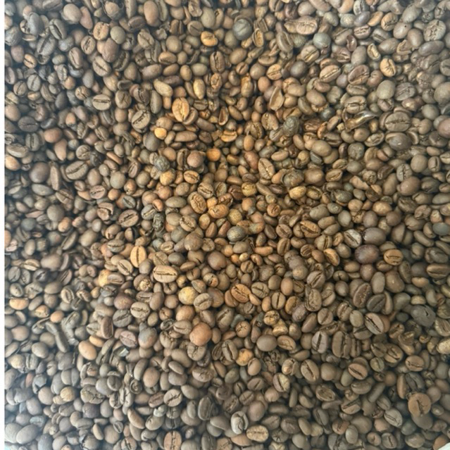 Robusta Spesial Grade ASALAN 5 KG