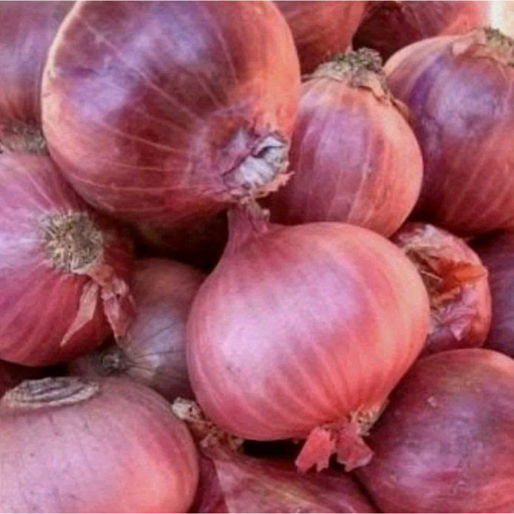 Bawang India