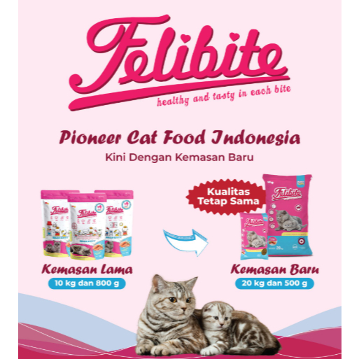 Felibite Kitten Ikan 20KG