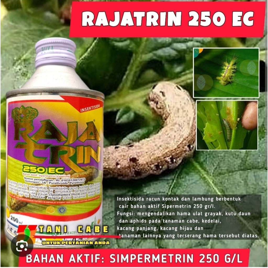Insektisida Rajatrin 250 EC