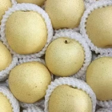 buah pir 1 kg